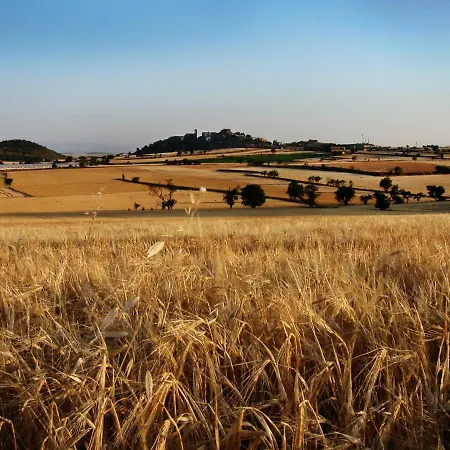 La Granja Del Besa Kır Evi Cubells
